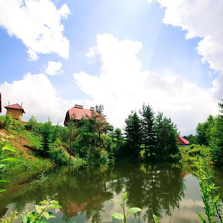 Villa Buhiv Skhidnytsia Eksteriør billede